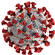 COVID-19 virus (possibly) created by CDC/ Alissa Eckert, MS; Dan Higgins, MAMS